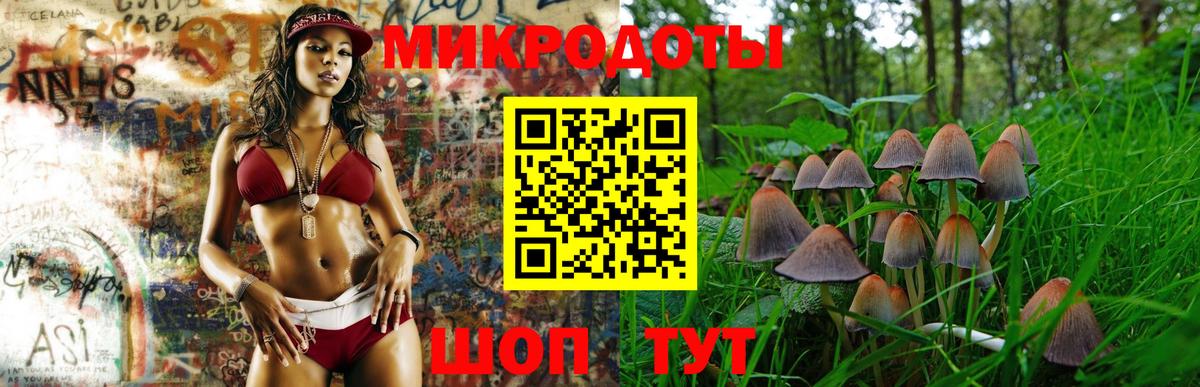 Аргун  Псилоцибиновые грибы прущие грибы  Вход с VPN  Псилоцибиновые грибы Psilocybe 
